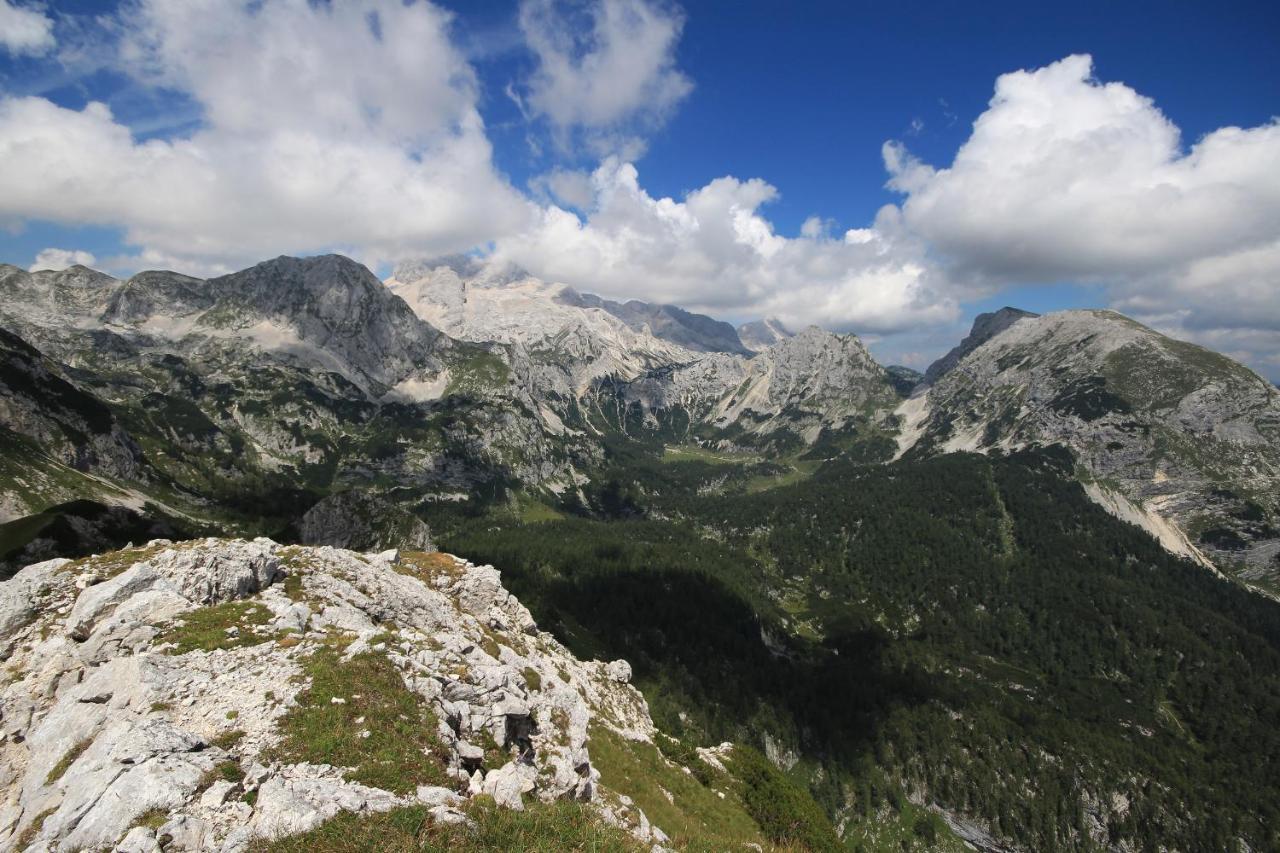 Chalet Pr Dobravc Bohinji-tó Kültér fotó