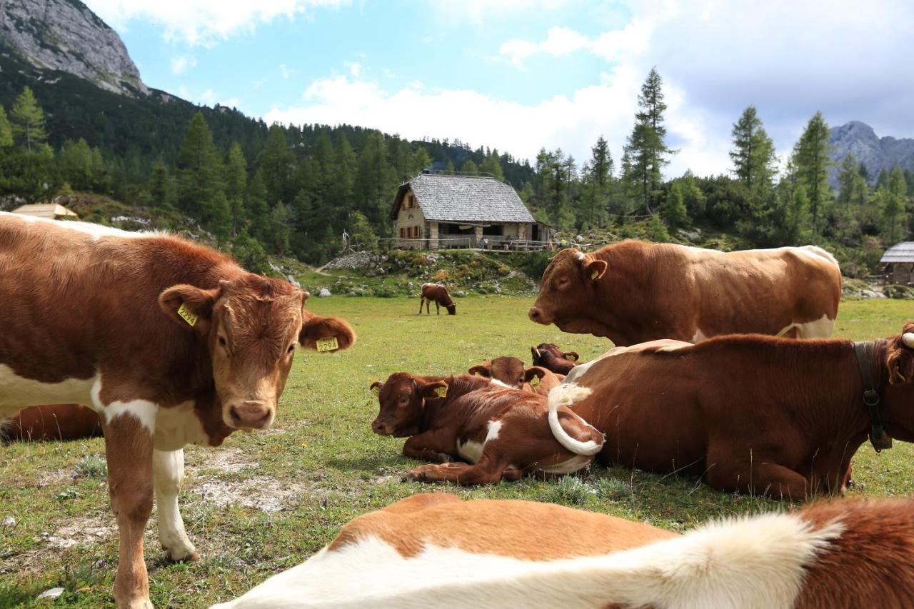 Chalet Pr Dobravc Bohinji-tó Kültér fotó